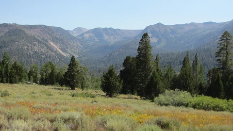Paradise Valley and Disaster Creek Trail