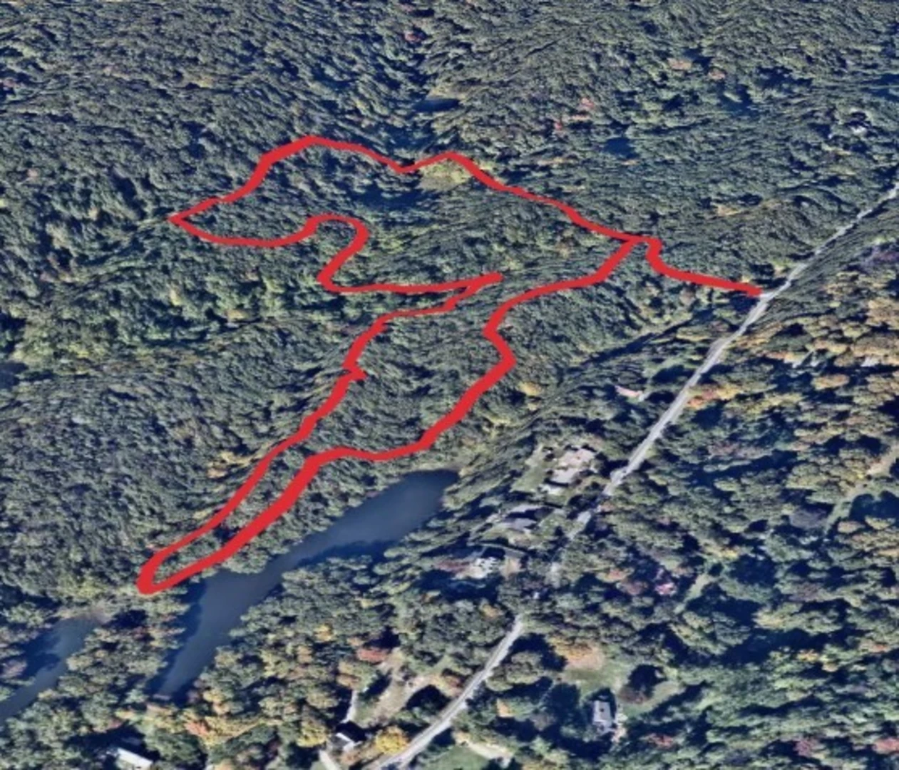 An image depicting the trail Purdy Pond Loop from Croton Dam Road and its surrounding area.