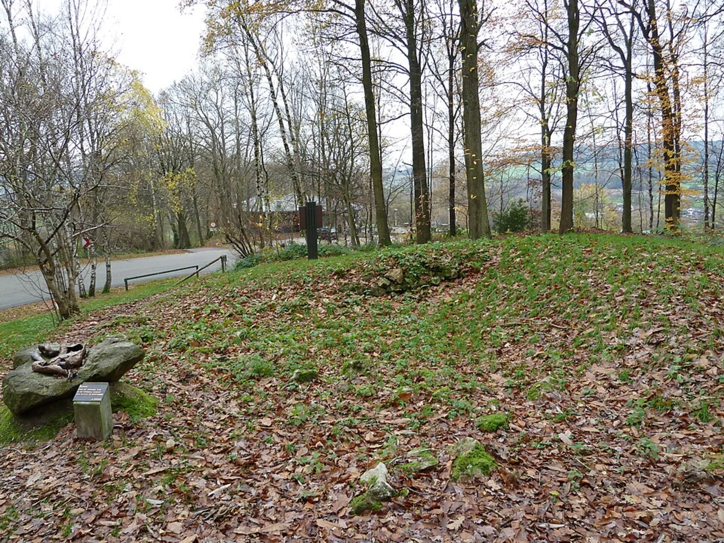 An image depicting the trail Preusbosch, Schimperbosch and Kerperbosch Loop and its surrounding area.