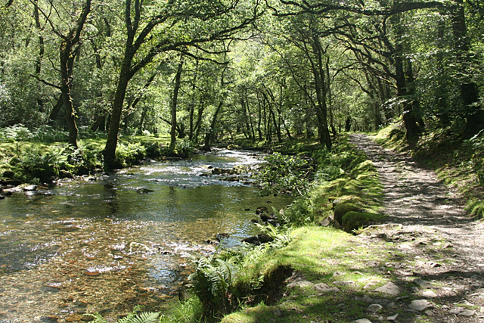 An image depicting the trail Grenofen Bridge to Double Waters Walk and its surrounding area.