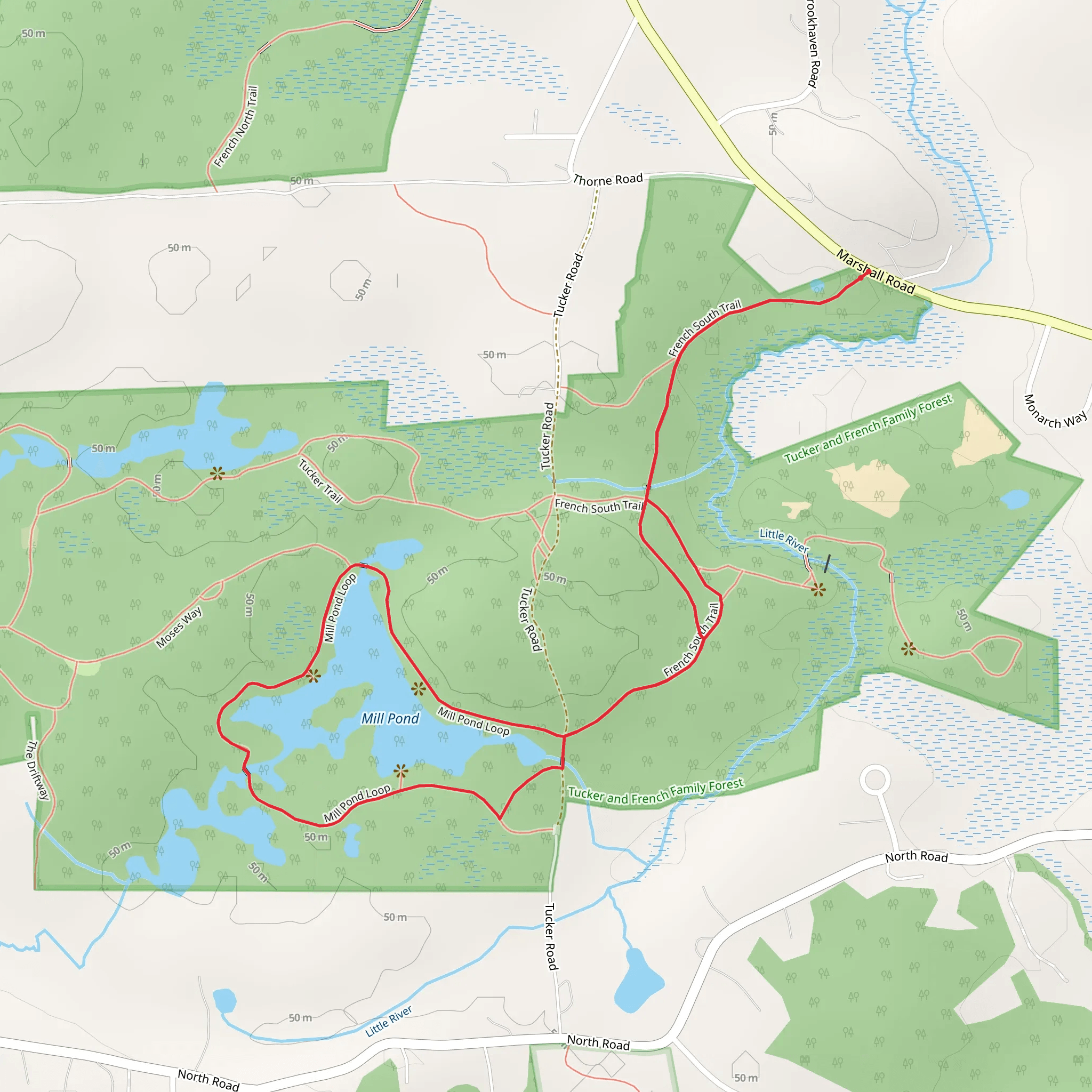 Mill Pond Loop Trail mobile static map