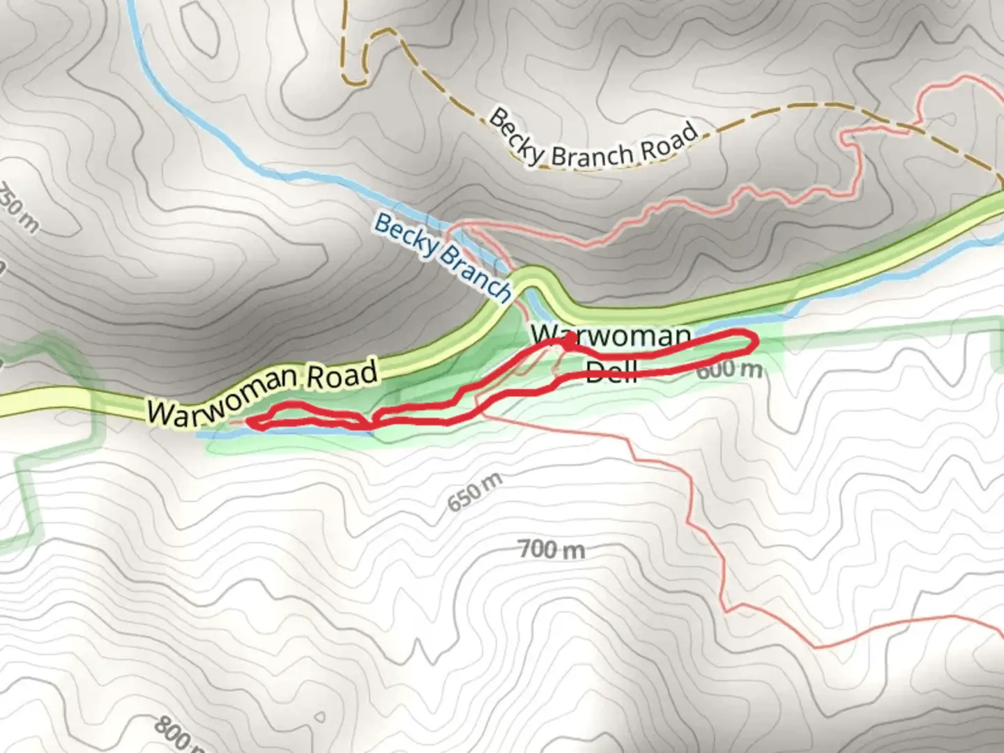 An image depicting the trail Warwoman Trail and its surrounding area.