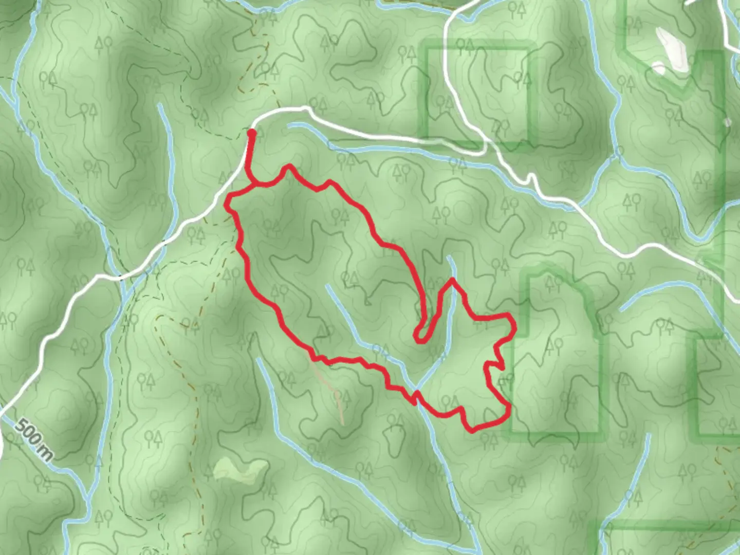 An image depicting the trail Black Branch Loop Trail and its surrounding area.