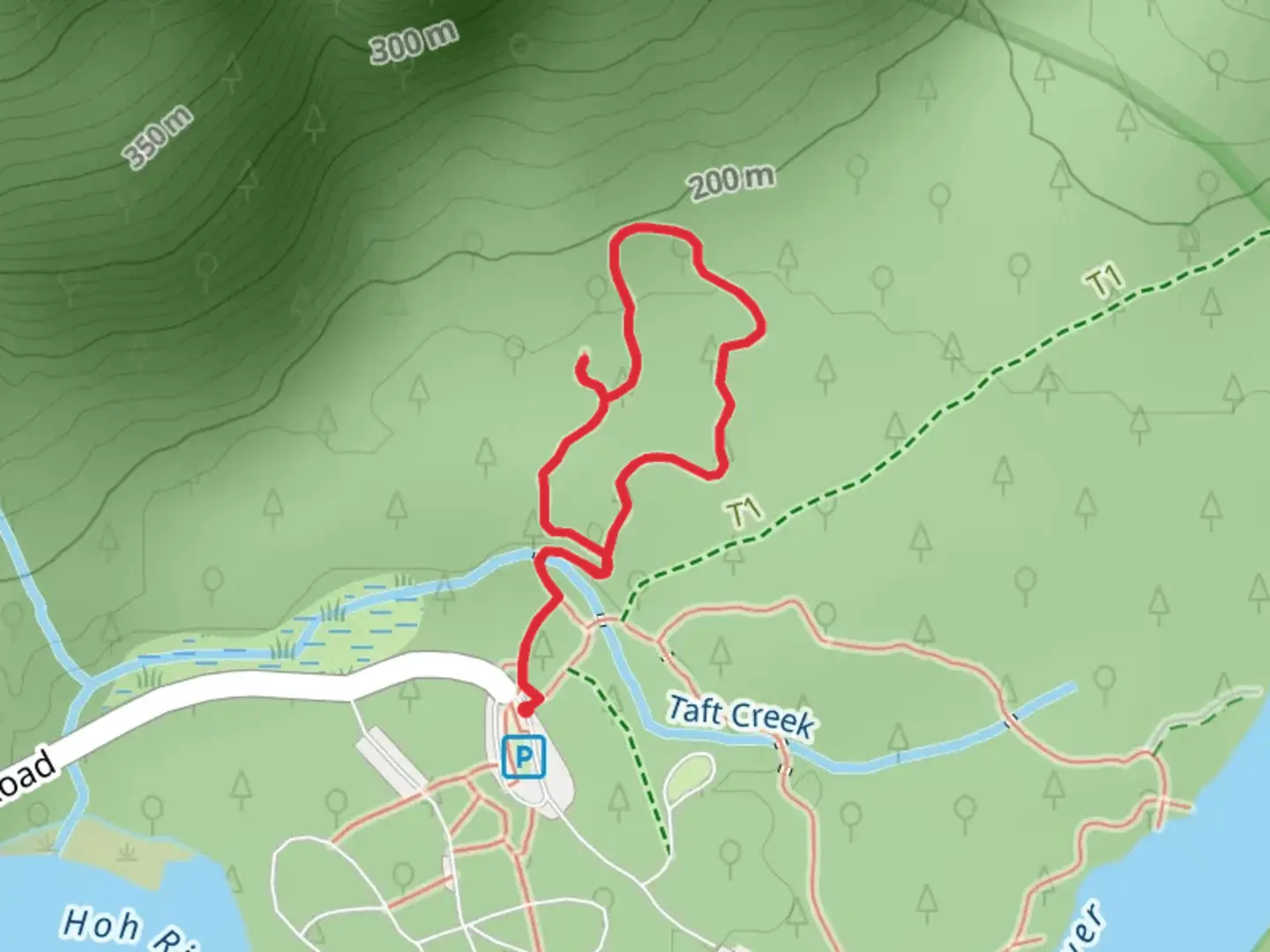 An image depicting the trail Hall of Mosses Loop Trail and its surrounding area.