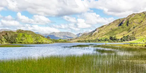 An image depicting the trail Mweelin Loop and its surrounding area.
