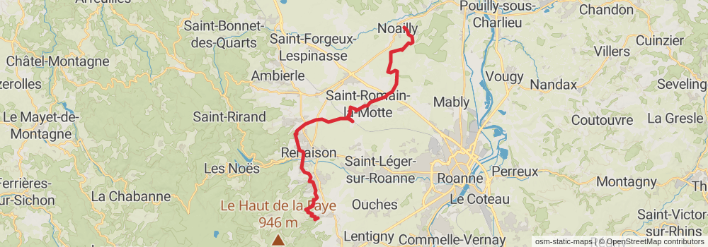Camino Strasbourg-Saint Jean Pied de Port via Le Puy stage 36 Map