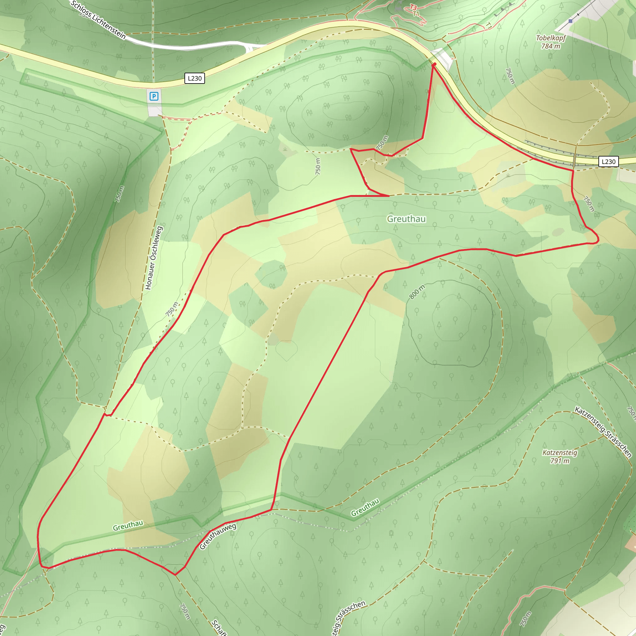 Greuthau via Schafbergweg mobile static map