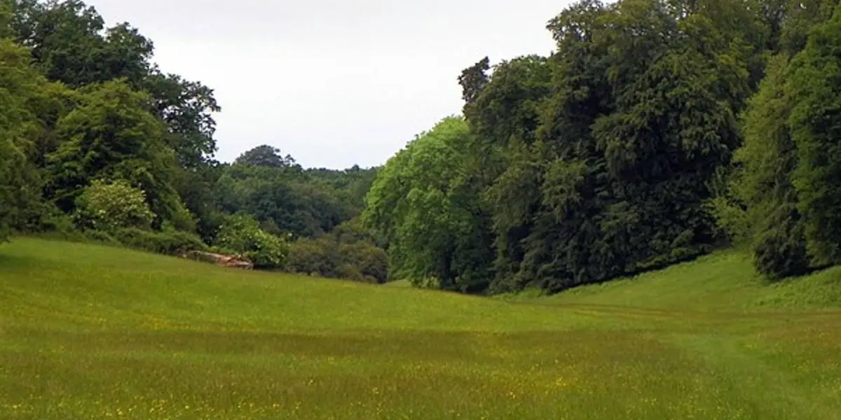 Battle of Berkhamsted Common Trail