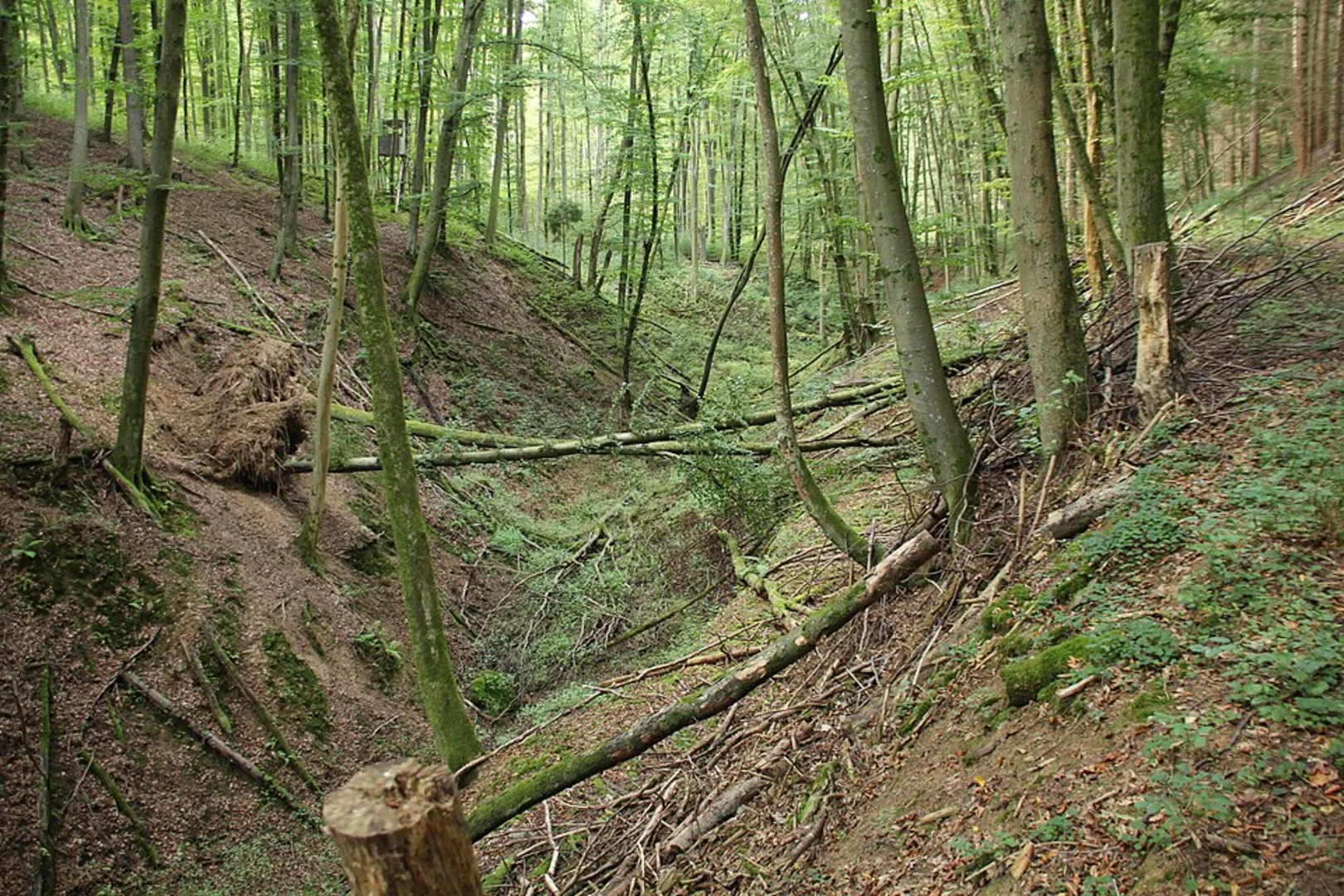 An image depicting the trail Aumenau to Villmar via Hessenweg and its surrounding area.