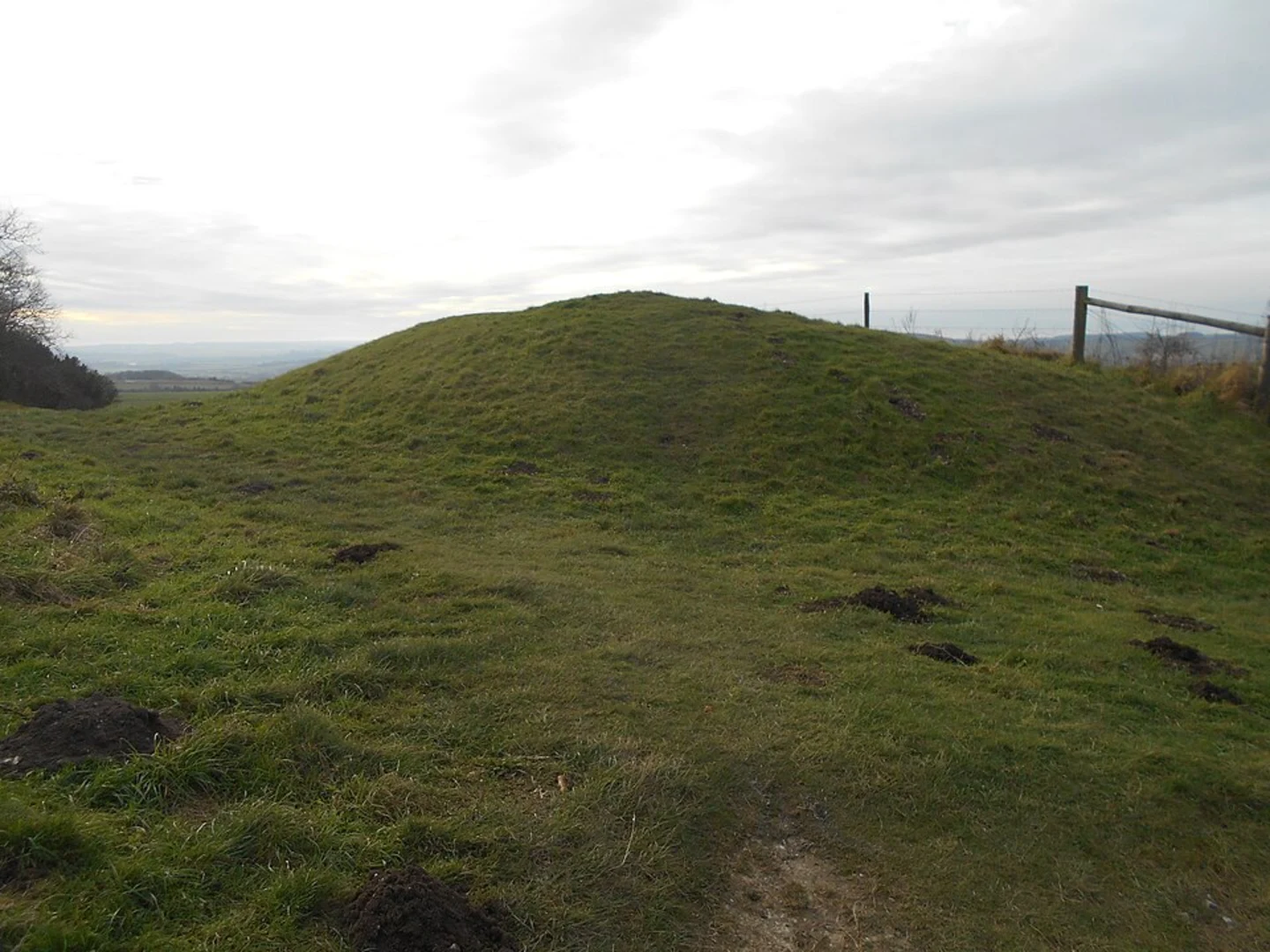 An image depicting the trail Amberley to Botolphs Walk and its surrounding area.