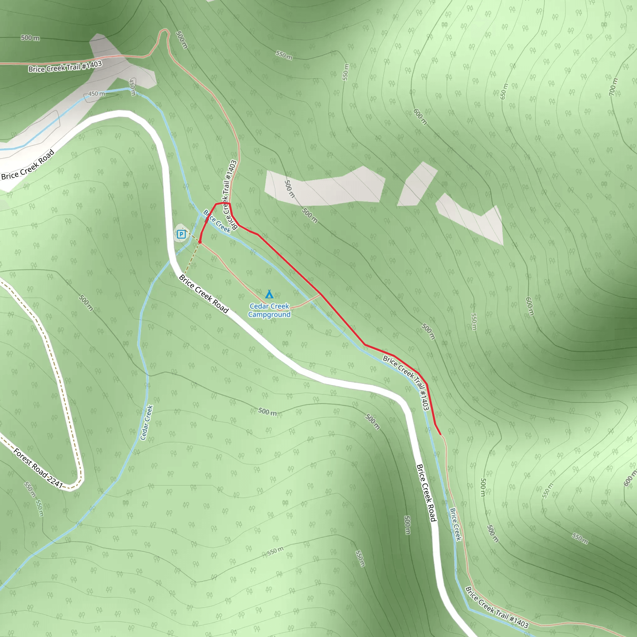 Brice Creek Trail - Short mobile static map