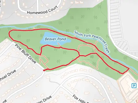 Beaven Pond Loop
