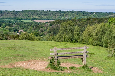 An image depicting the trail Westhumble to Leatherhead Walk and its surrounding area.