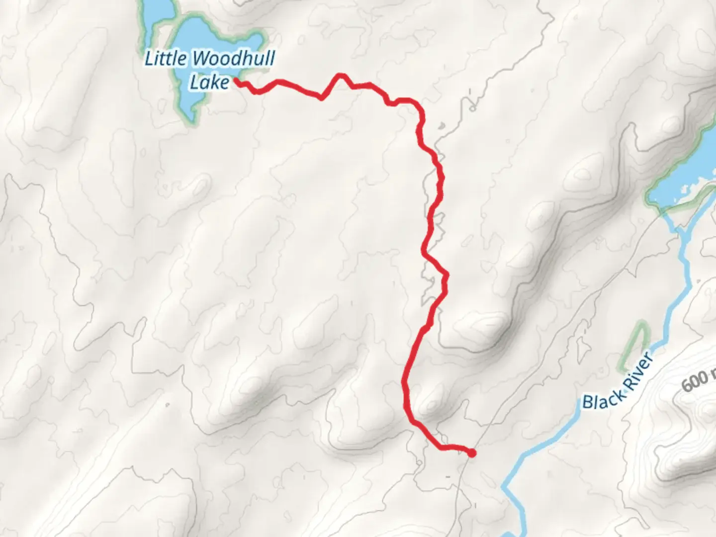 An image depicting the trail Little Woodhull Lake from North Lake Road and its surrounding area.