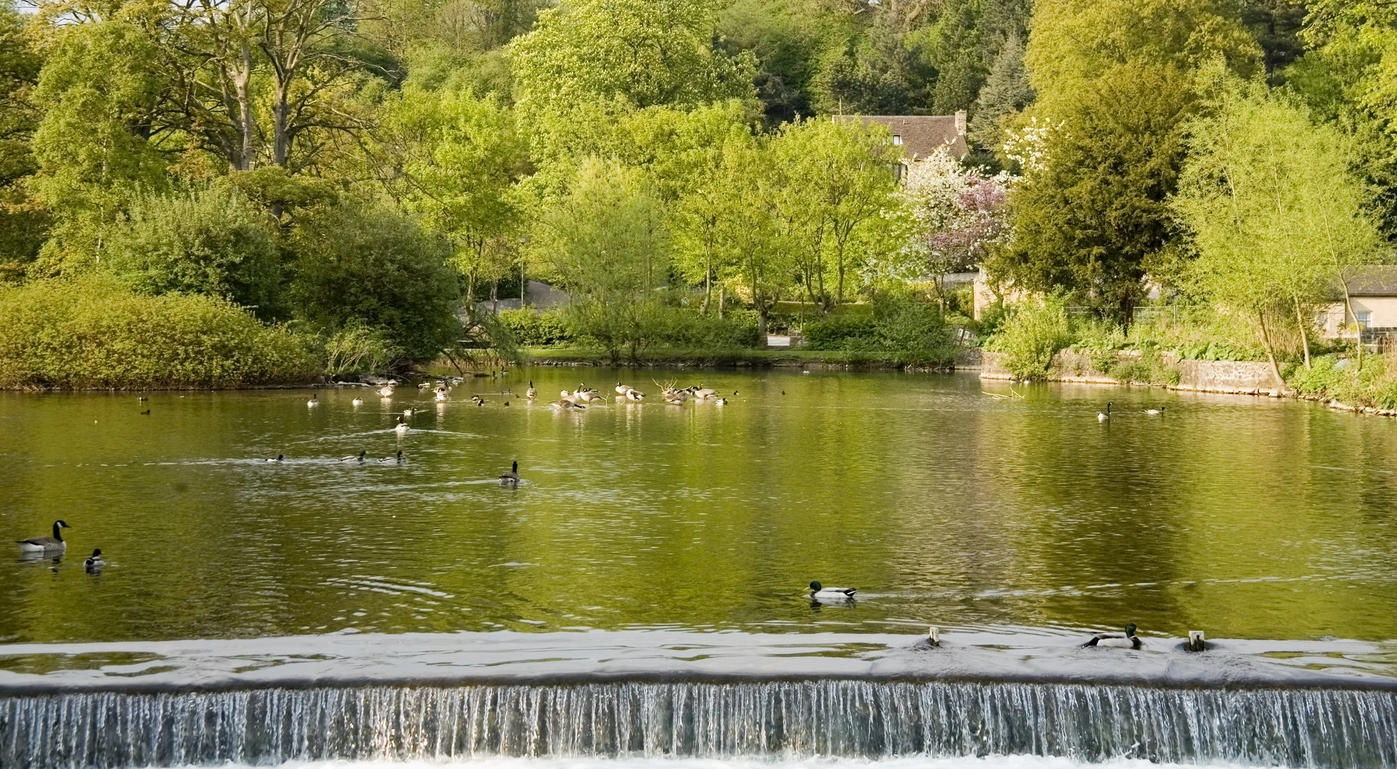 An image depicting the trail Bakewell - Edensor - Chatsworth Short Route and its surrounding area.