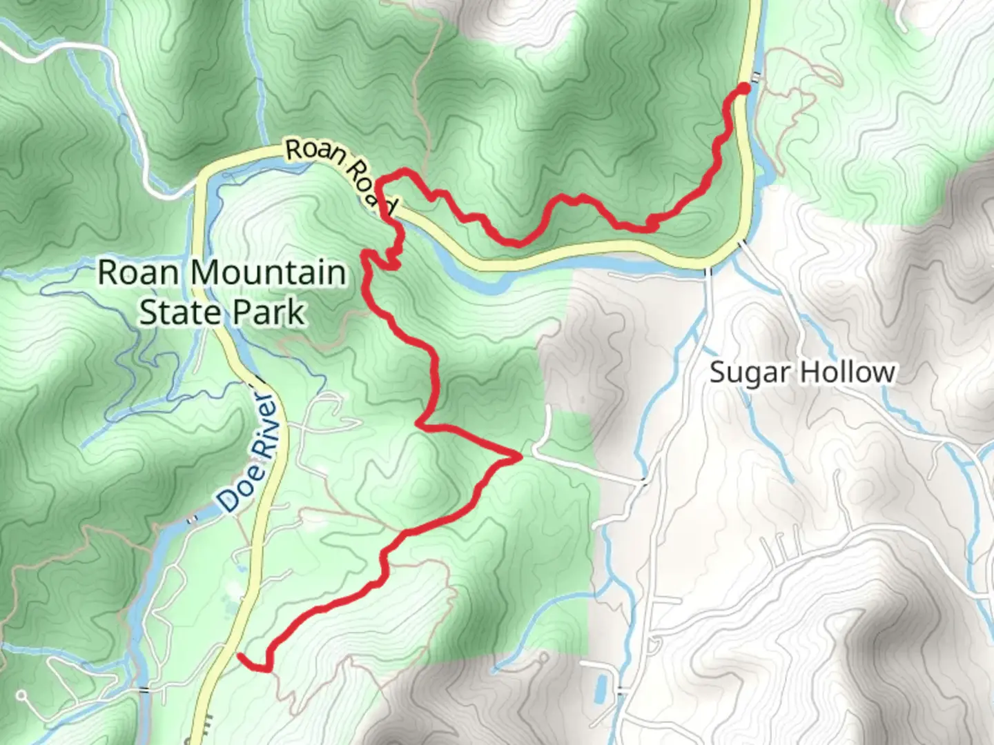 An image depicting the trail Forest Road Trail and its surrounding area.