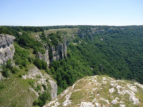 Los Olmos Meadow Path PR CU 104