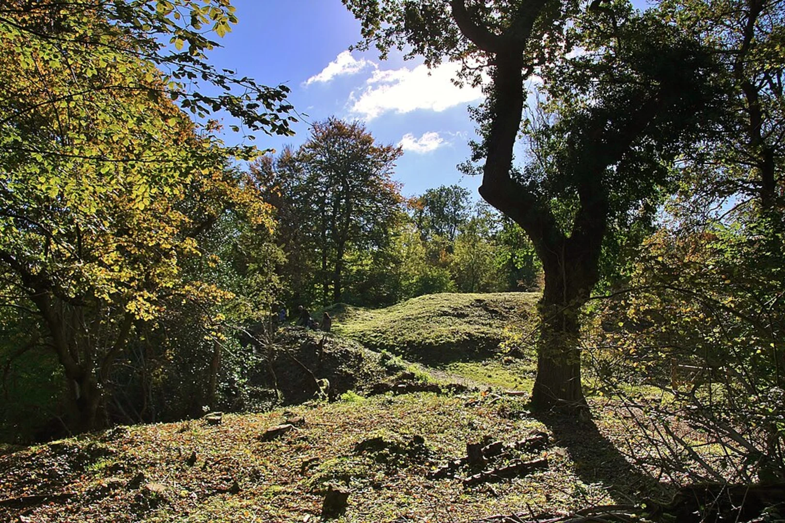 An image depicting the trail Ashton Court Estate and Leigh Wood and its surrounding area.