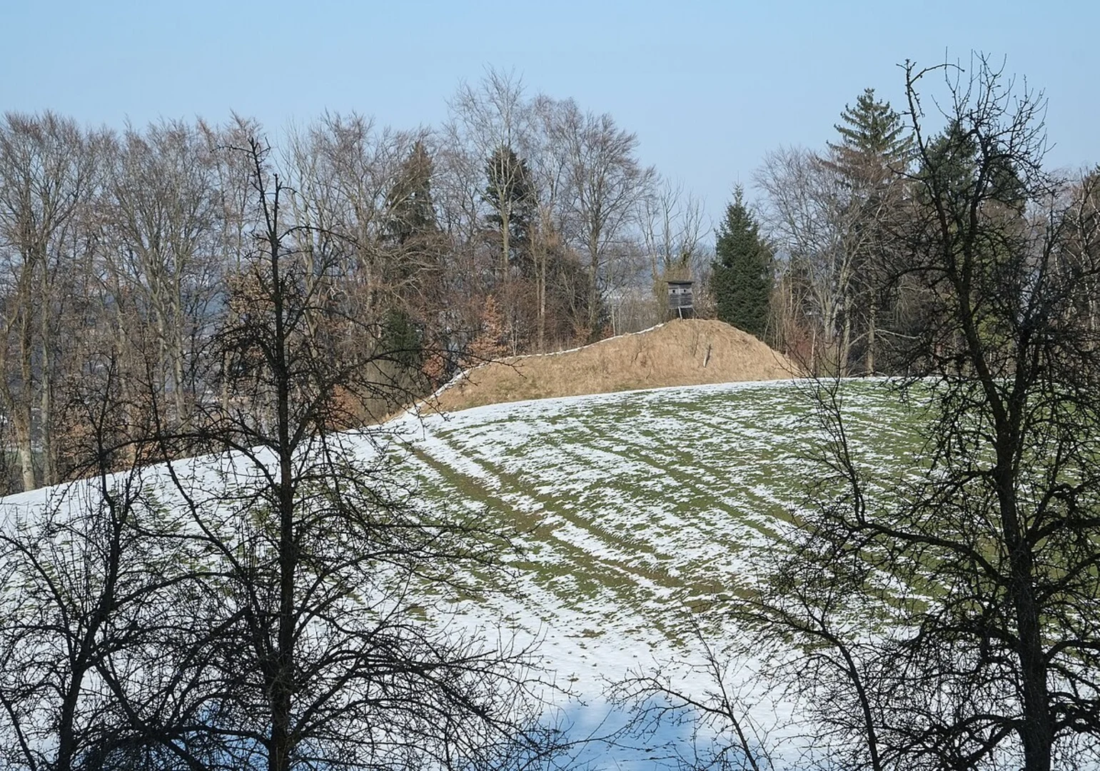 An image depicting the trail Burgruine Altsummerau and its surrounding area.