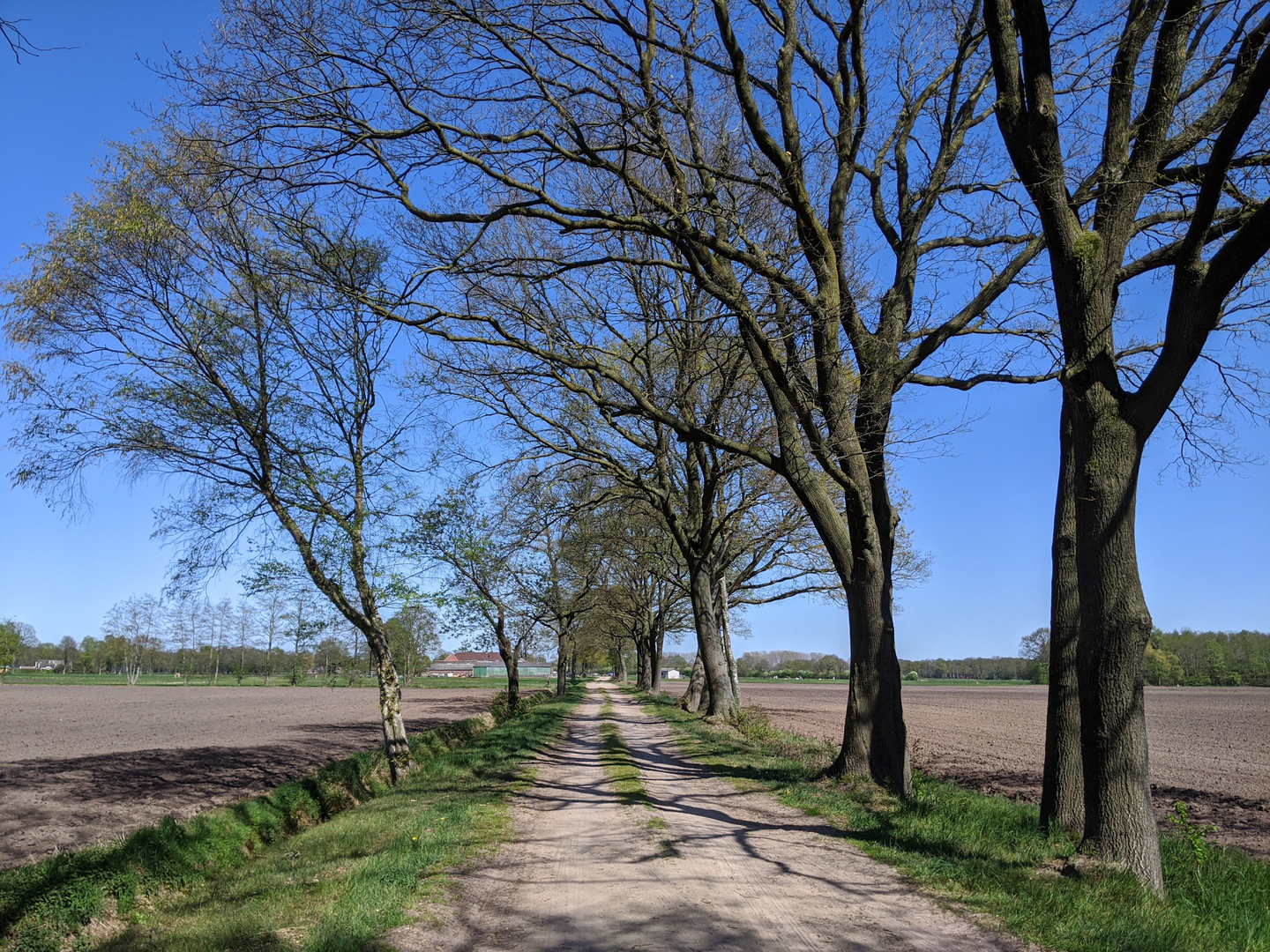 An image depicting the trail Hakenberg via Twentepad and its surrounding area.