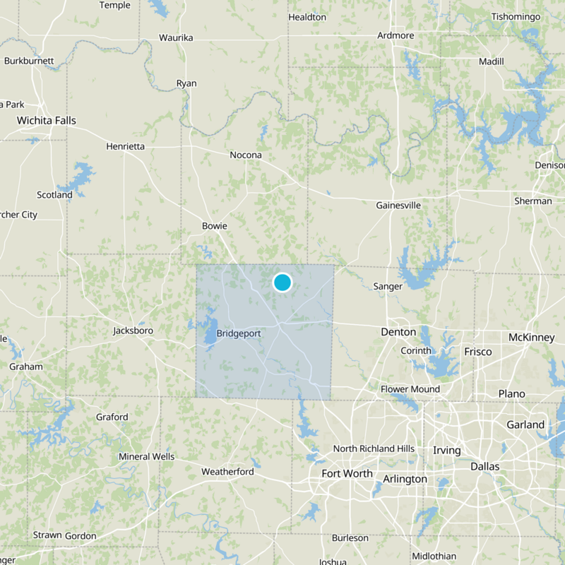 Wise County Static Map