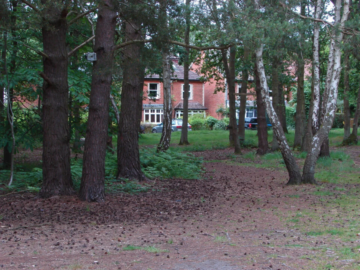 An image depicting the trail Horsell Common Loop and its surrounding area.