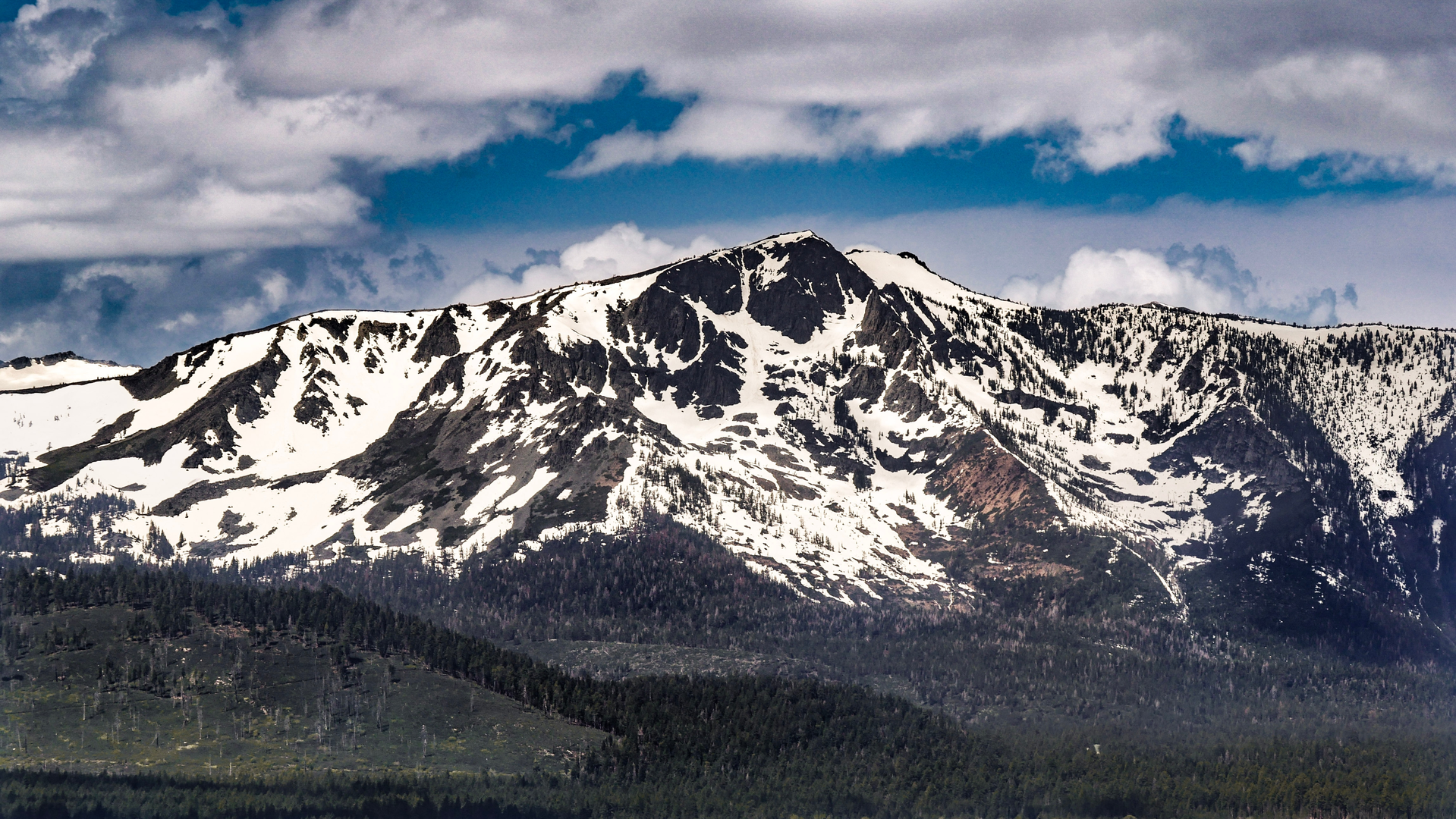 An image depicting the trail Tahoe Rim Trail from Ward Creek Boulevard and its surrounding area.