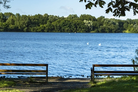 Glazebrook Timberland Trail