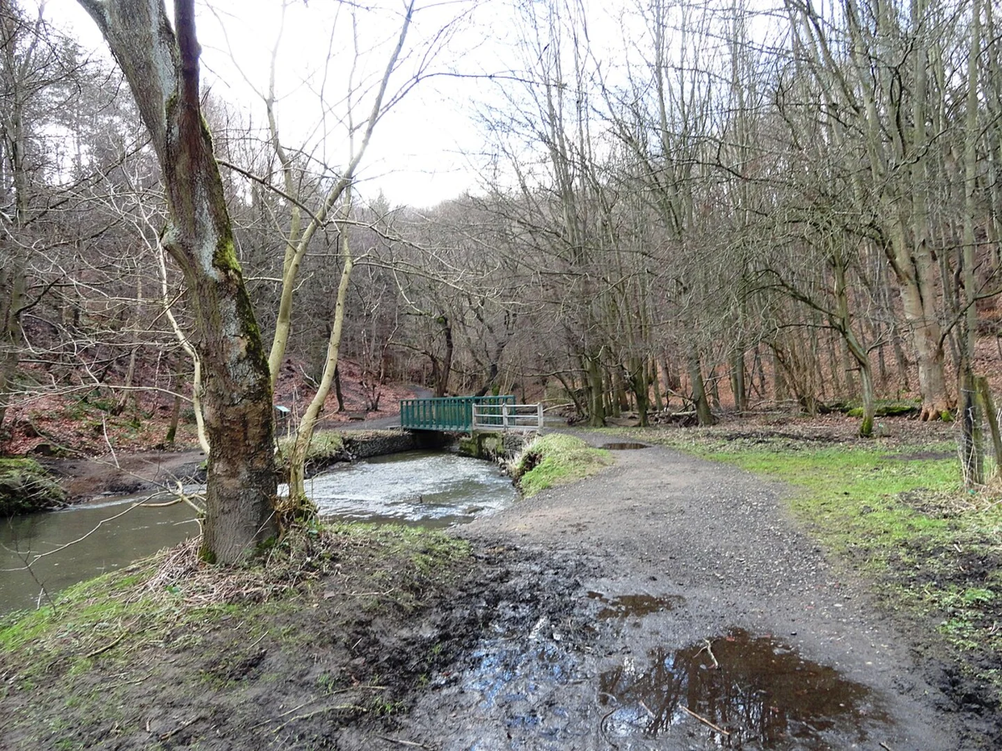 An image depicting the trail Beamish North Loop and its surrounding area.