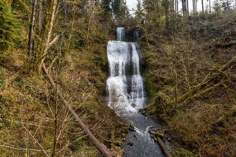 An image depicting the trail Majestic and Royal Terrace Falls - McDowell Creek County Park Loop and its surrounding area.