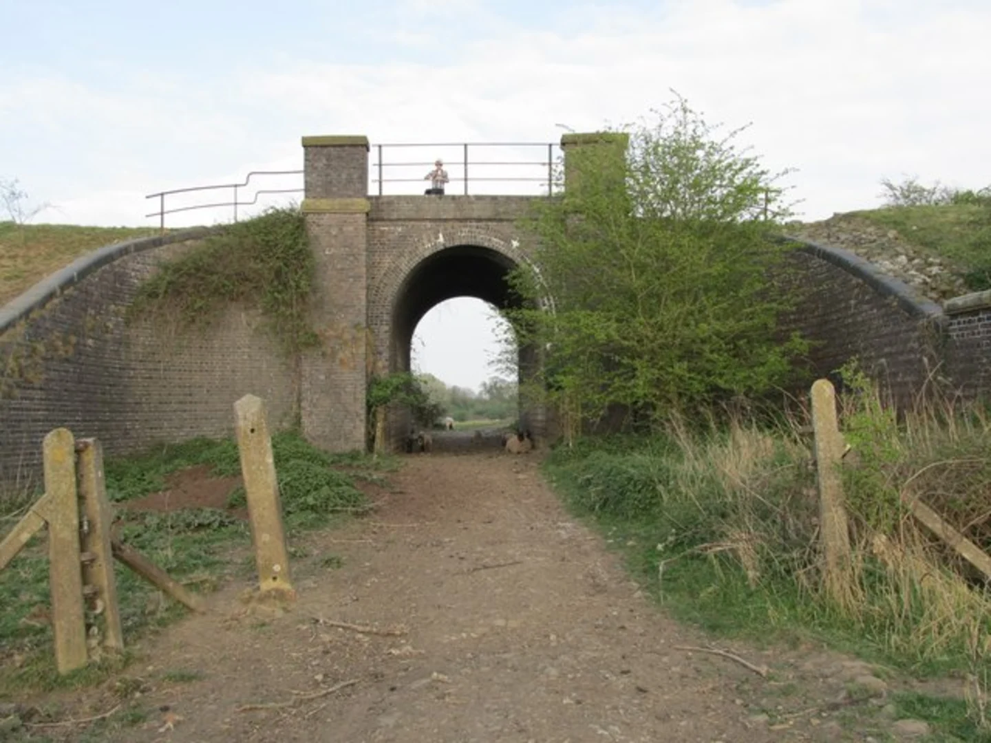 An image depicting the trail Oxford Canal and Braunston Marina Loop and its surrounding area.