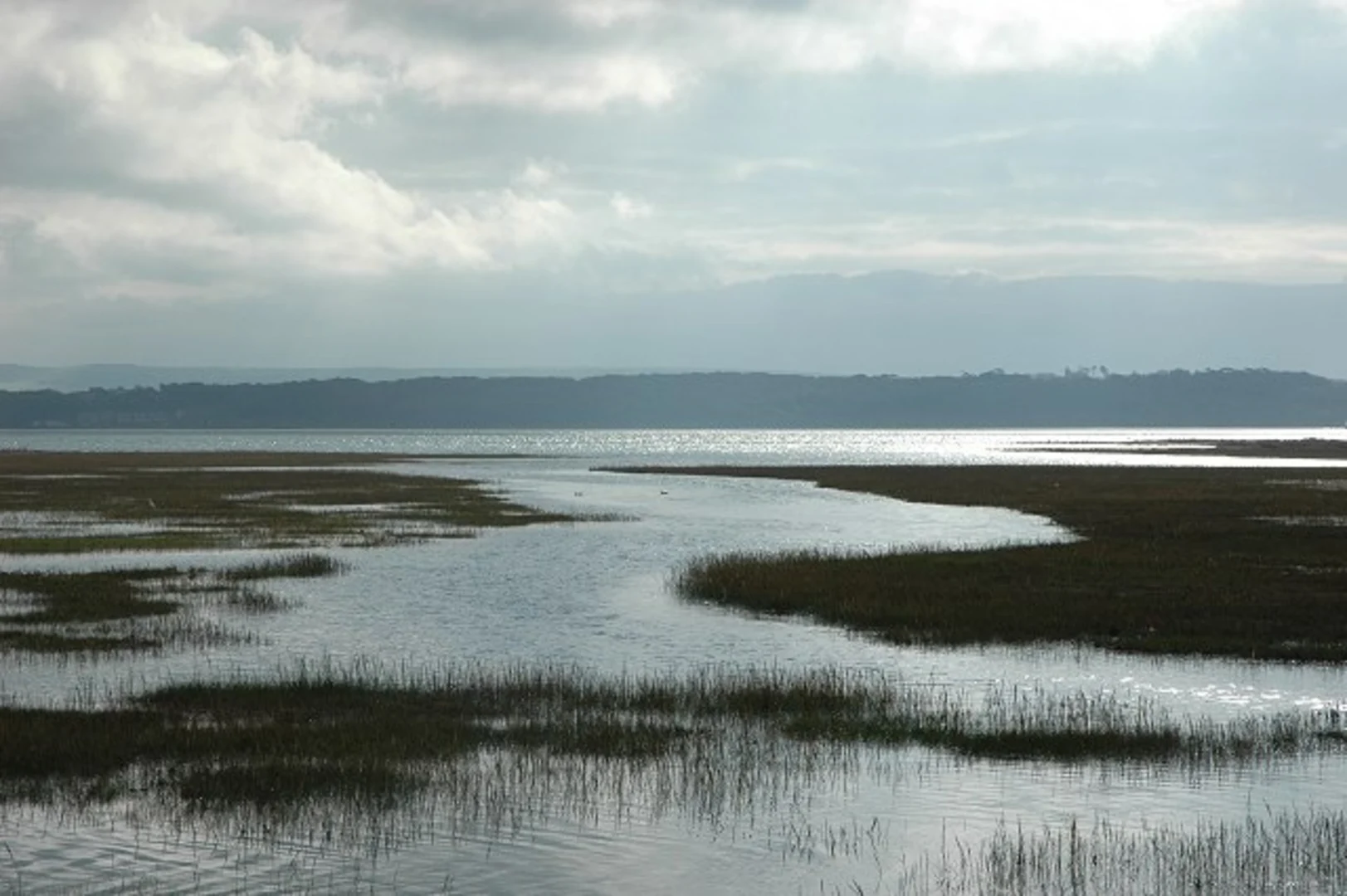 An image depicting the trail Lymington to Barton on Sea Walk and its surrounding area.