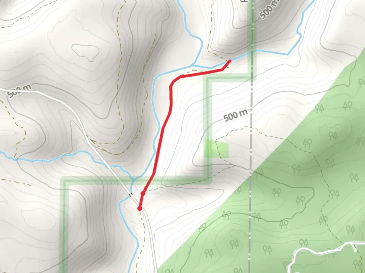 An image depicting the trail Spring Creek from Forest Road and its surrounding area.