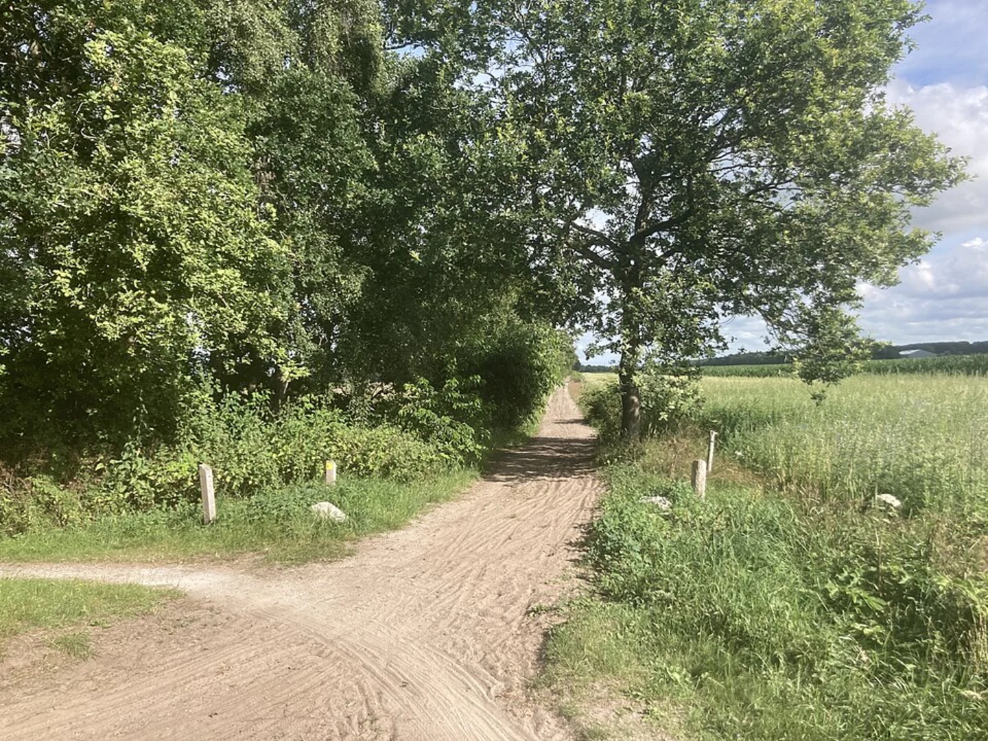 An image depicting the trail Zeyerveld via Lossingpad, Rheeer Weg and Hardenbergspad and its surrounding area.