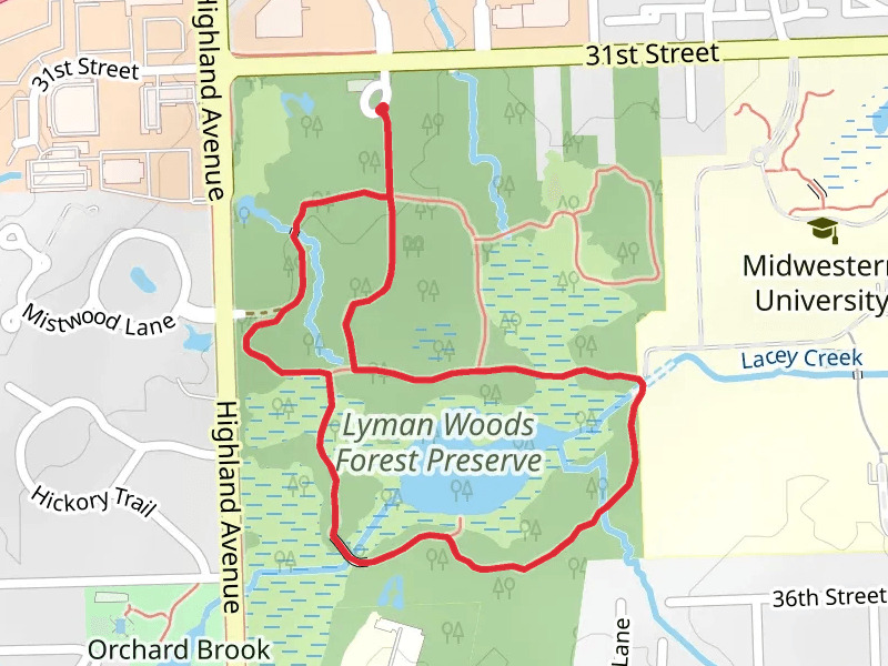 Lacey Creek and Lyman Woods Forest Preserve Loop