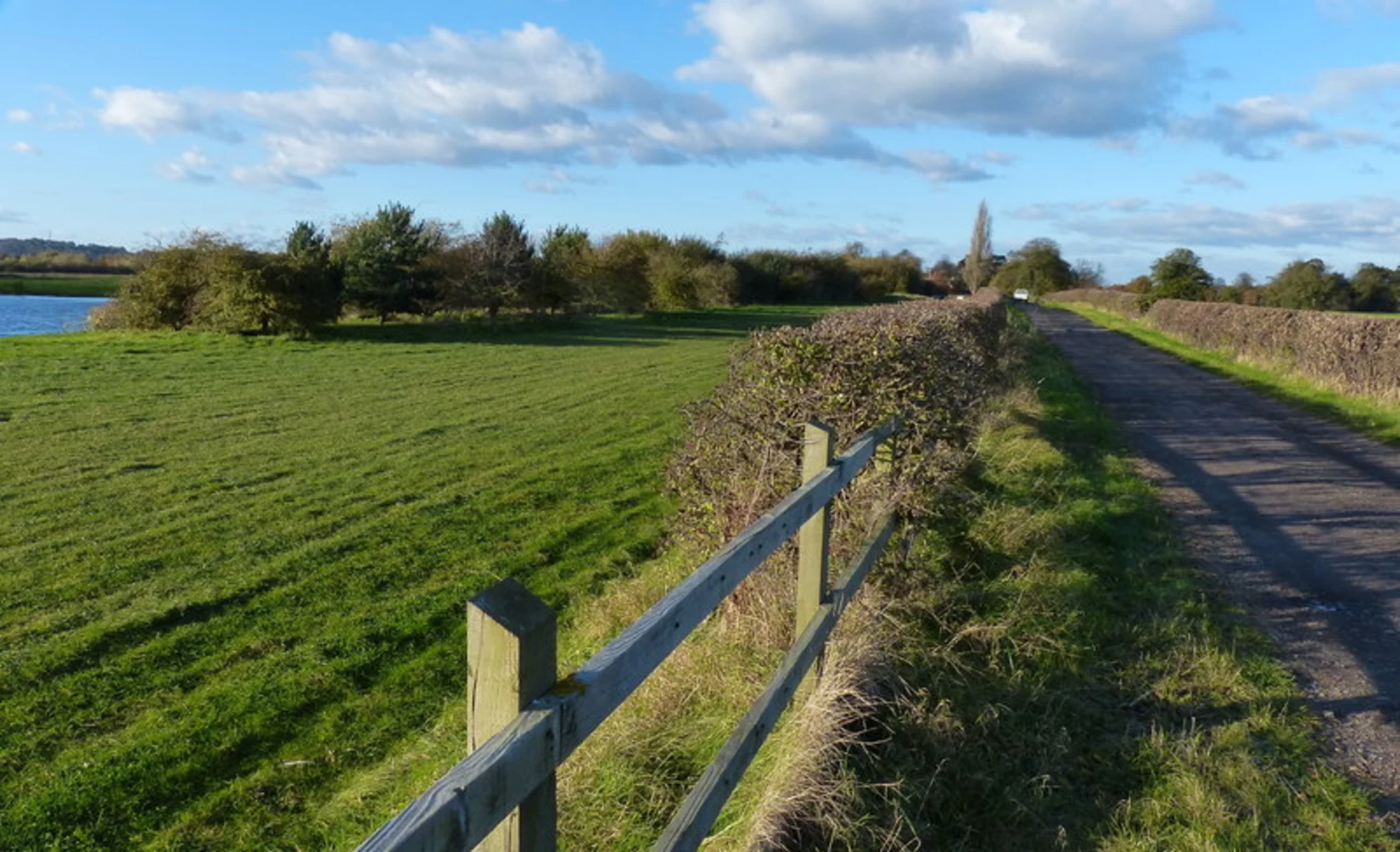 An image depicting the trail Holme Pierrepont Country Park and its surrounding area.