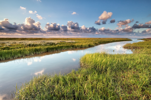 Moddergat, Holtveen and Kibbelhoek Loop