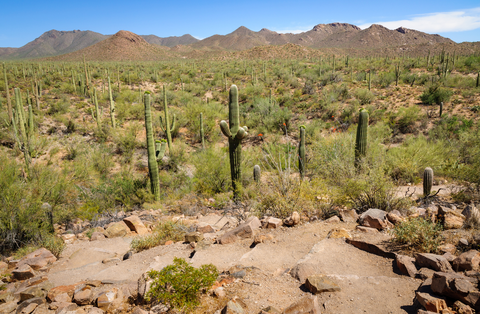 An image depicting the trail Devil's Bathtub via Miller Canyon Trail and its surrounding area.