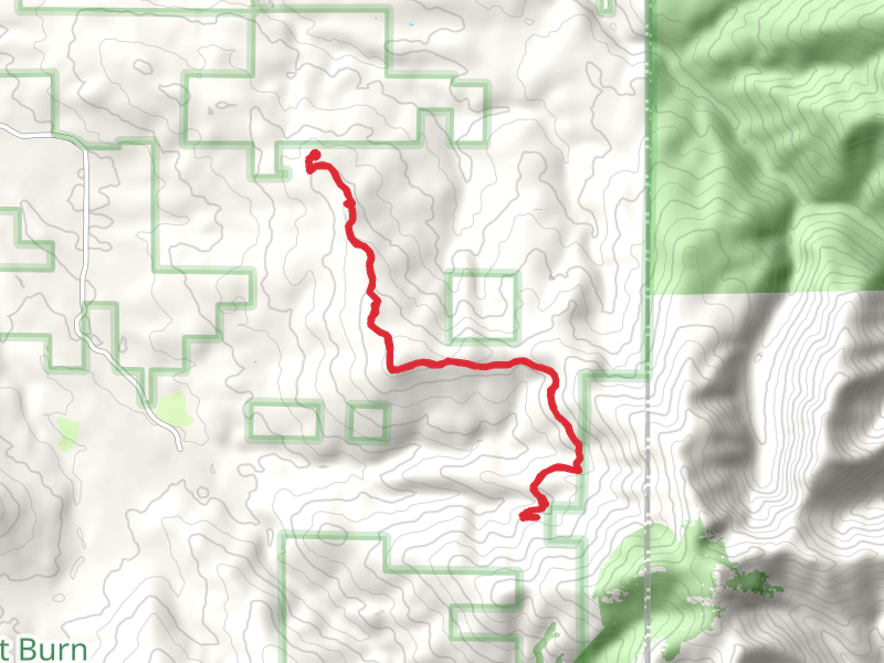 Kloochman Butte and Tarbell Trail