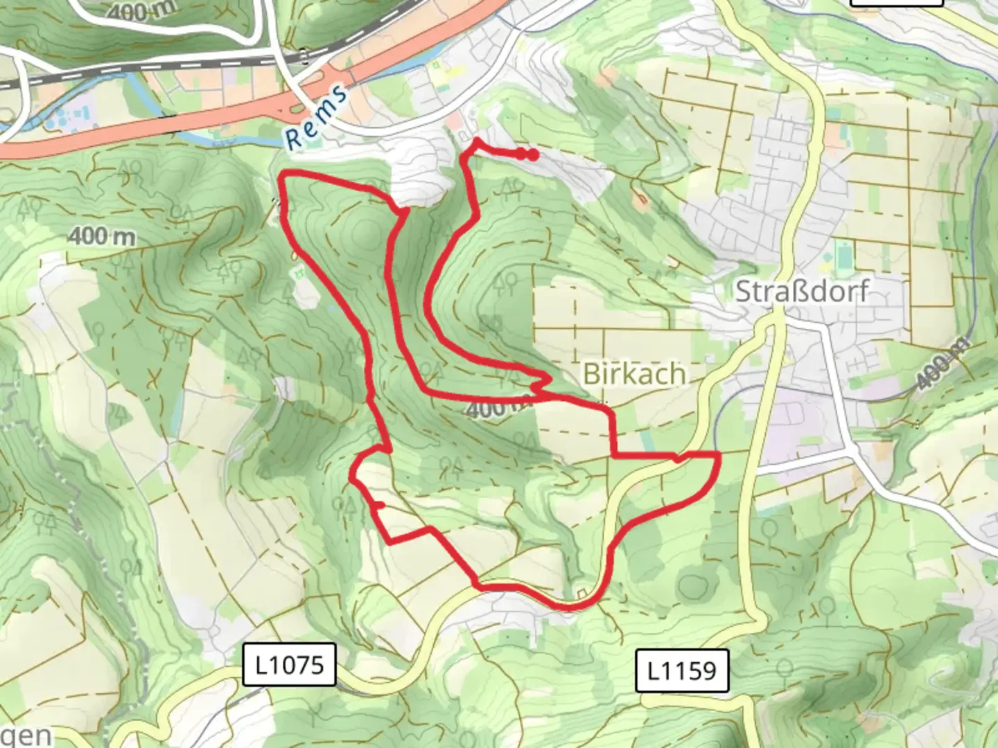 An image depicting the trail Lauchhof Loop and its surrounding area.