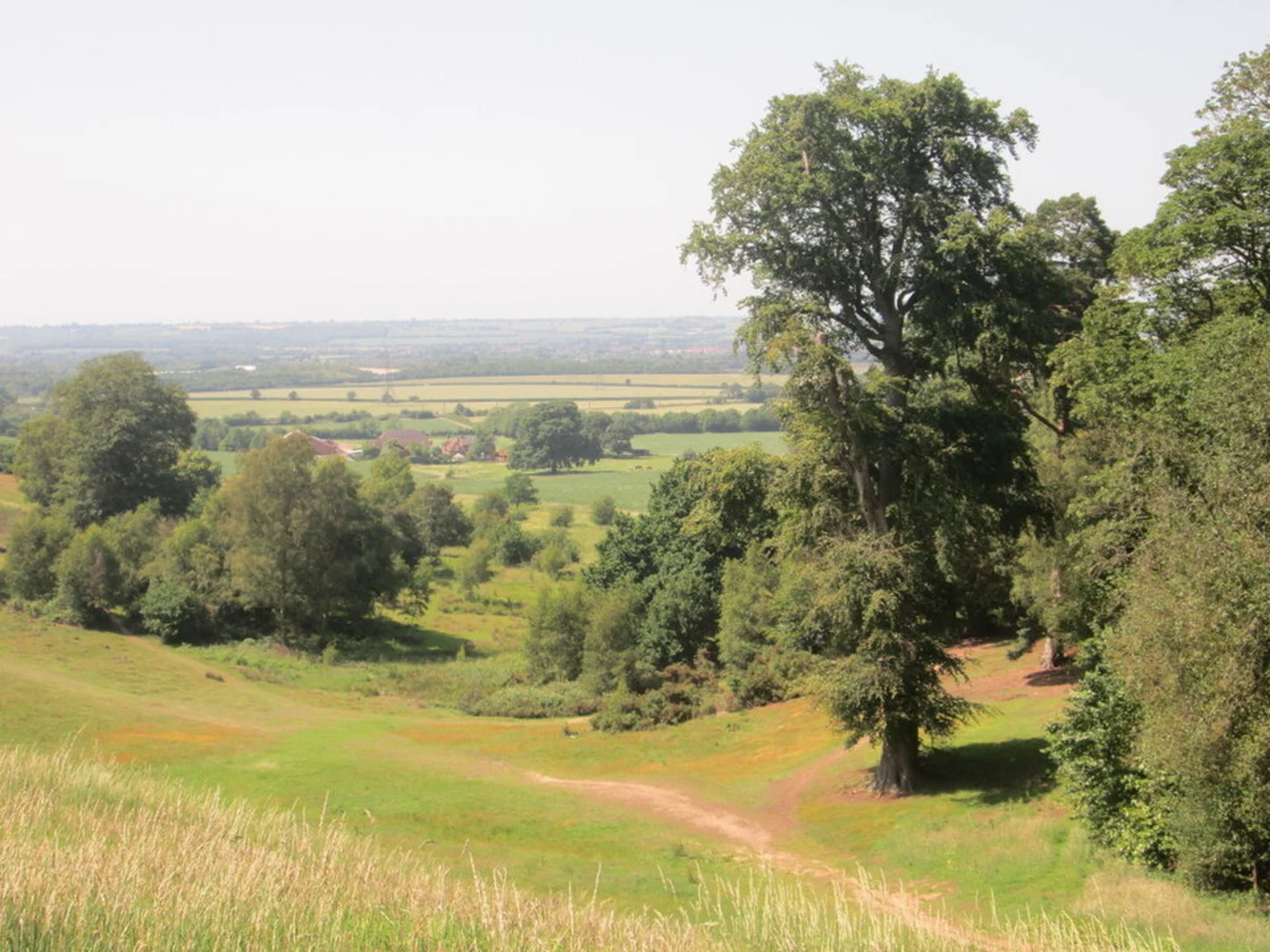 An image depicting the trail Ampthill Park Walk and its surrounding area.
