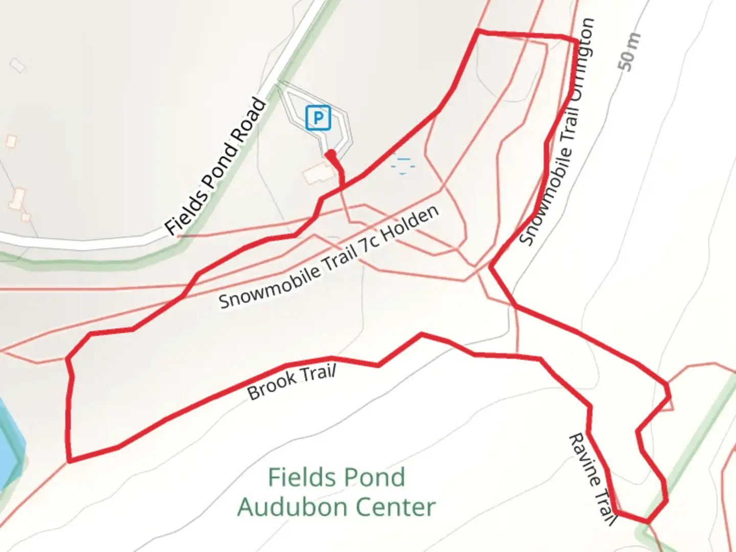 An image depicting the trail Brook and Ravine Trail Loop and its surrounding area.