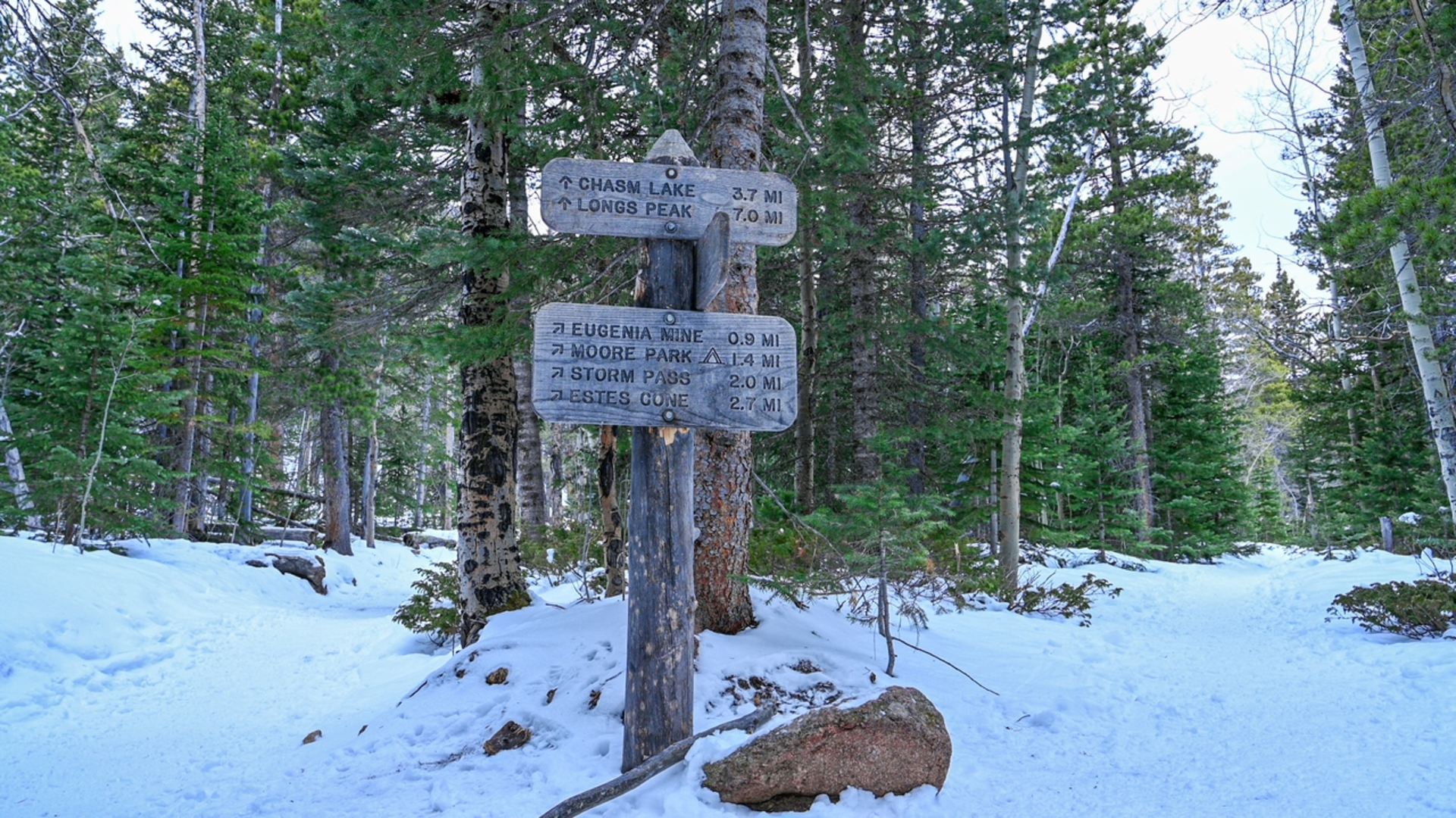 An image depicting the trail Jims Grove Trail via Longs Peak Trail and its surrounding area.