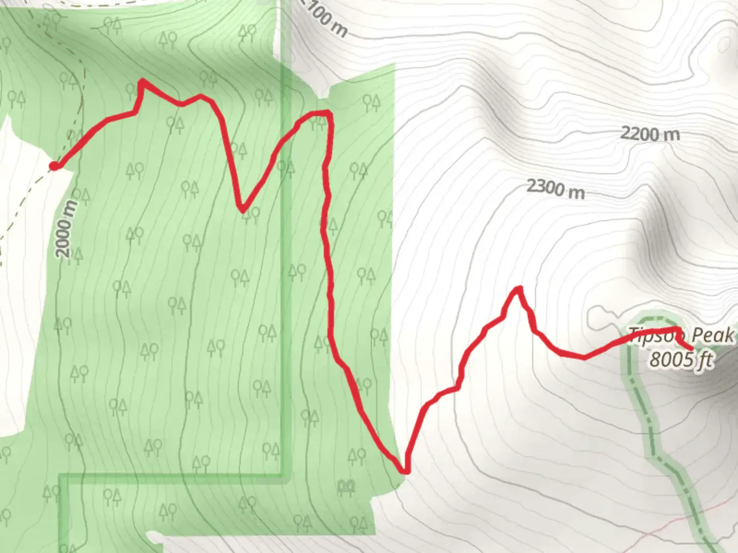 An image depicting the trail Tipsoo Peak Trail from Wits End Nordic and its surrounding area.