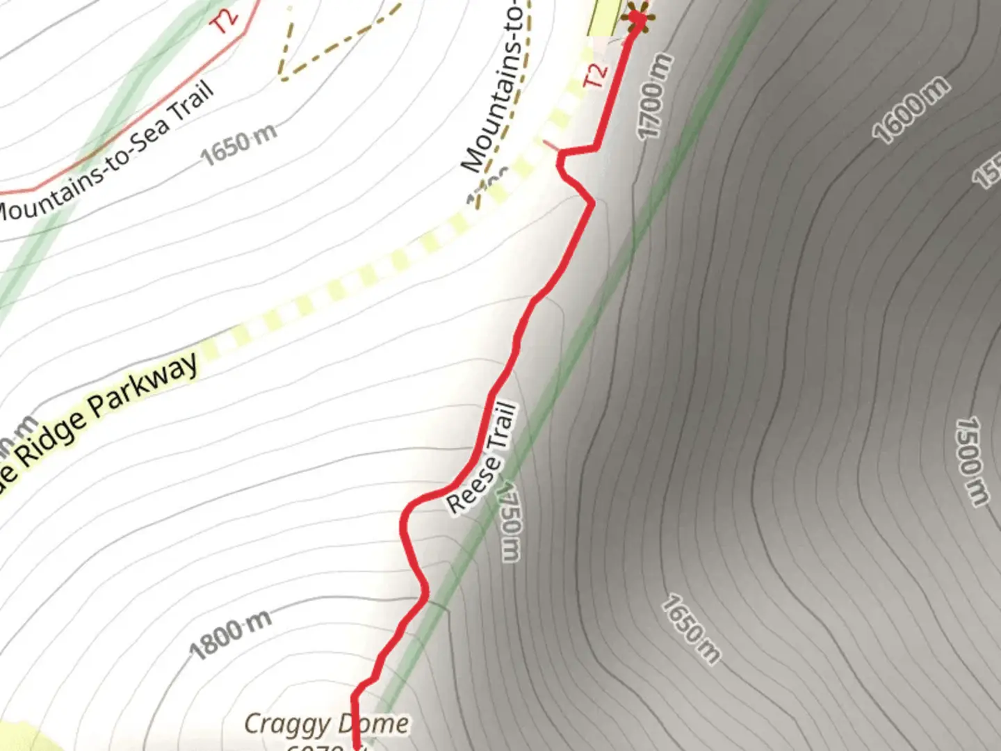 An image depicting the trail Craggy Dome via Reese Trail and its surrounding area.