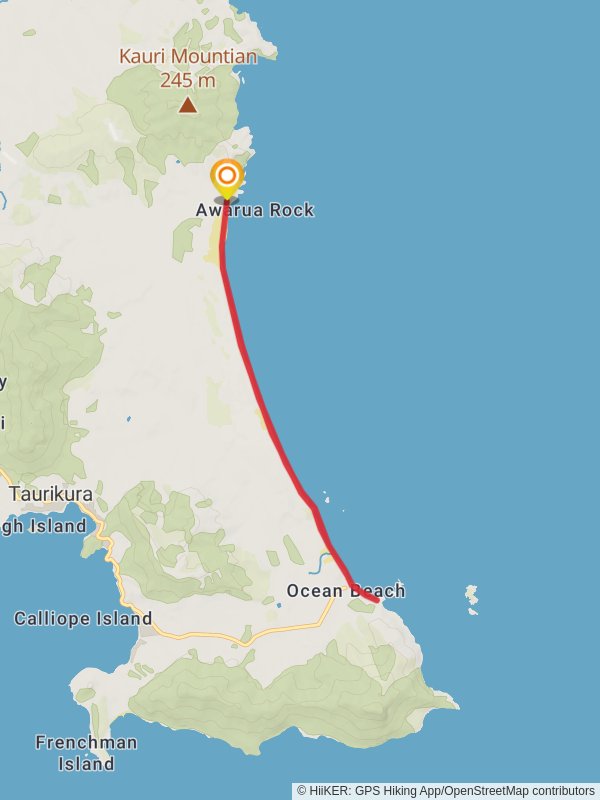 Kauri Beach to Ocean Beach Trail Whangarei New Zealand