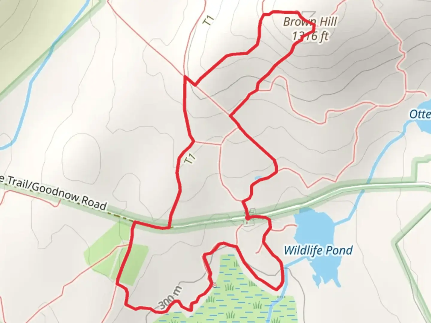 An image depicting the trail Brown Hill and South Meadow Loop Trail and its surrounding area.
