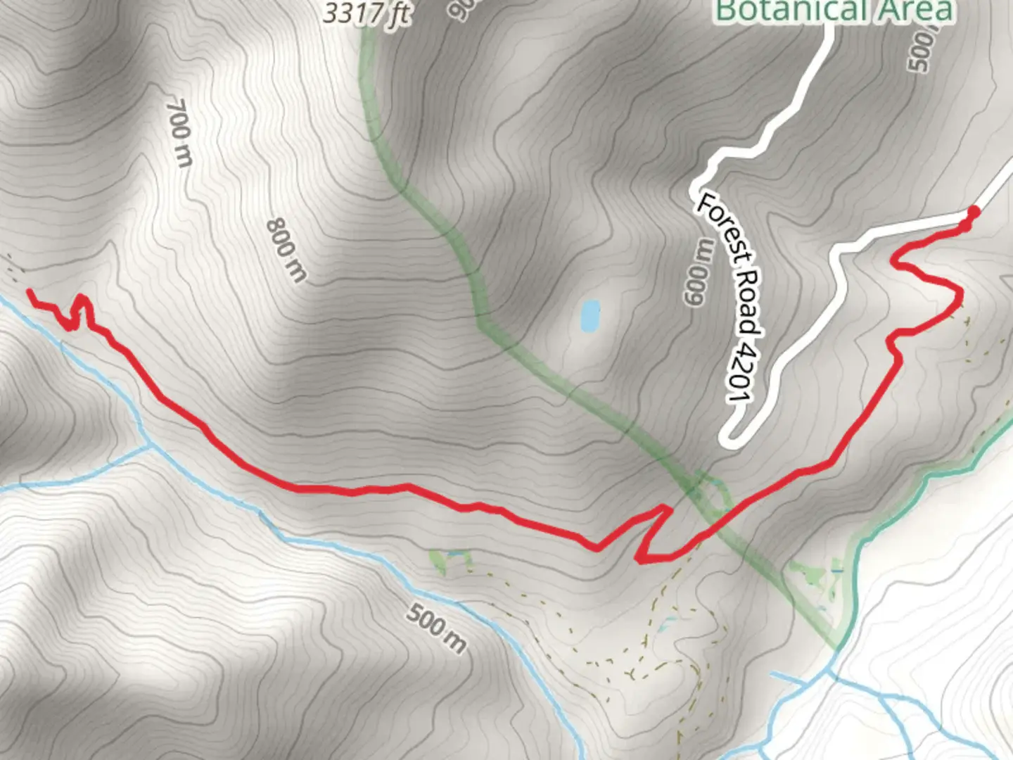 An image depicting the trail Walk beside Days Gulch and its surrounding area.