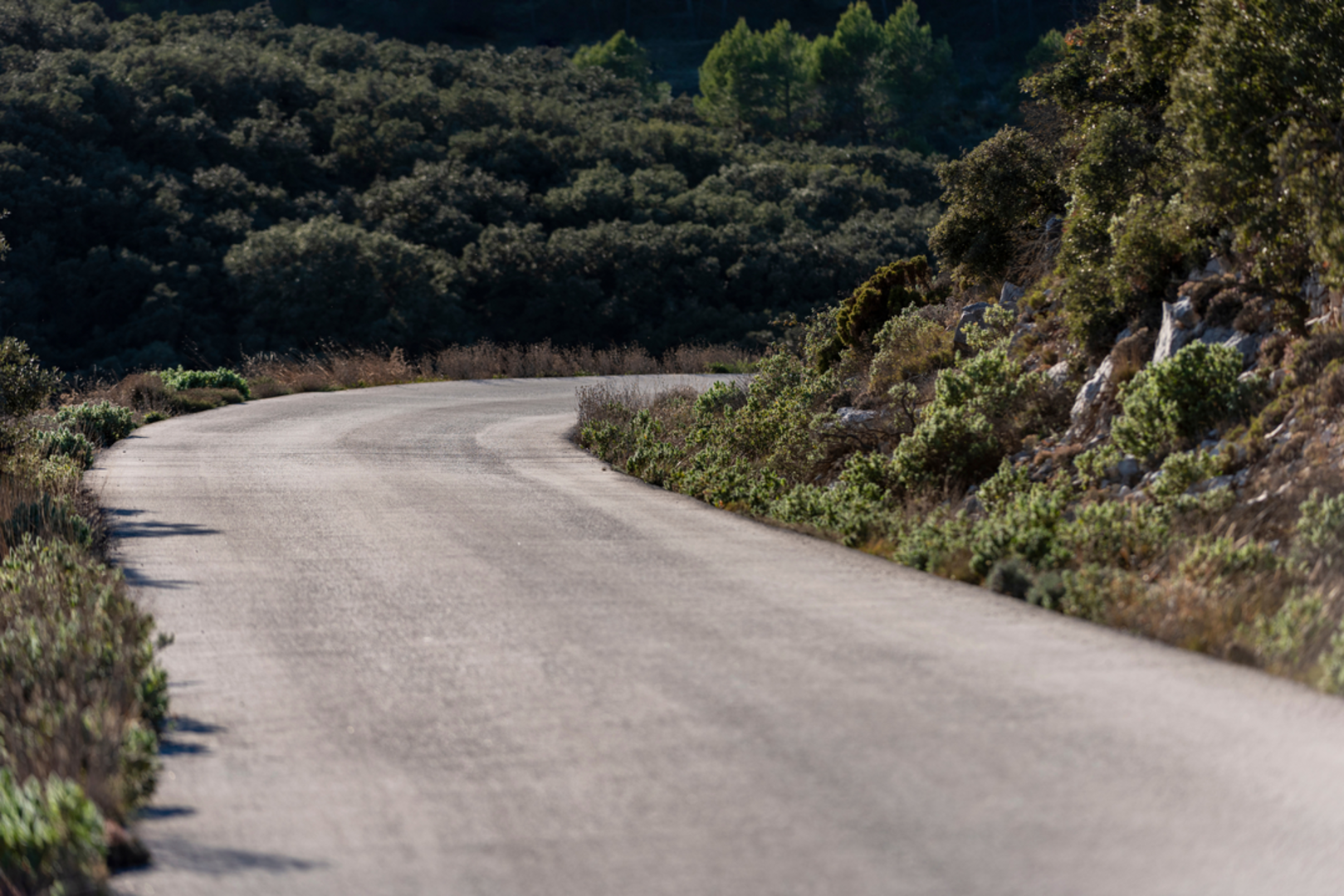 An image depicting the trail The Crank - Snow Mountain PR CV 232 and its surrounding area.