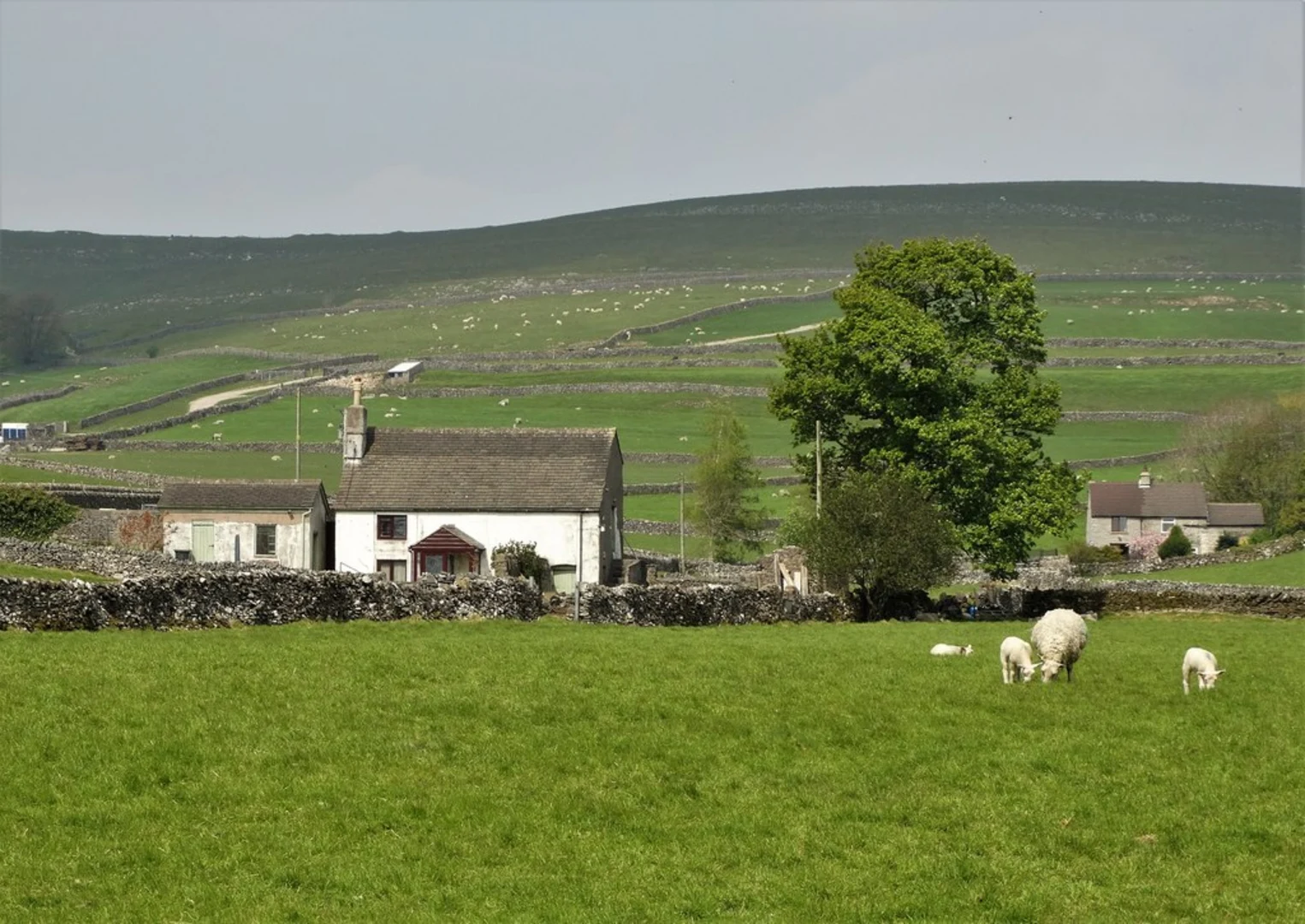 An image depicting the trail Ox Low Loop and its surrounding area.